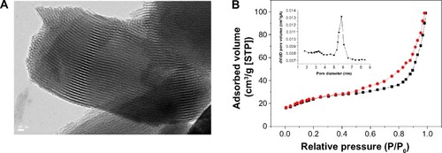 Figure 3 (A) TEM image of the surface microstructure and (B) N2 adsorption (black line)–desorption (red line) isotherms and corresponding pore size distributions (inset) of composite scaffold P8 after sufficient drying.Note: P8 represents the PLGA scaffold coated by MBG precursor solution for 8 times.Abbreviations: TEM, transmission electron microscopy; MBG, mesoporous bioactive glass; PLGA, poly(lactic-co-glycolic acid); STP, standard temperature and pressure.