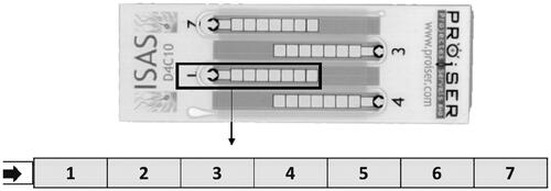 Figure 2. Disposable counting chambers (ISAS D4C®) and forms used and the fields analyzed. ISAS D4C® is a commercial disposable counting chamber, available in two different depths: 10 µm (D4C10) and 20 µm depth (D4C20). These are counting chambers based in capillarity. The arrow demonstrates the place of drop deposition. Numbers (1–7) inside the chambers demonstrate different capture fields.