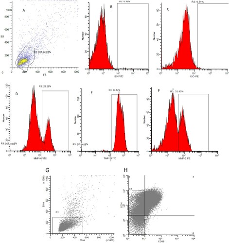 Figure 1. Detection of Metrix metalloproteinase (MMP) in pediatric acute lymphoblastic leukemia case. (A): Forwards/side gating on blat population. (B): Fluorescein isothiocyanate (FITC) Isotype control, (C): phycoerythrin (PE) isotype control, (D): MMP-9, (E): Tissue inhibitor of metalloproteinases 1 (TIMP-1) and (F): MMP-2. (G): represent the stem cells gating on the blast population. (H): select the CD34+CD38− population gated on the whole blast population R1.