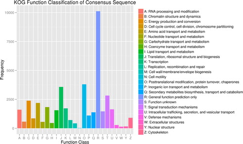 Figure 3. Classification of unigenes based on the Clusters of Orthologous Groups (COG) database.