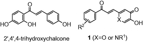 Figure 1. Structure of a typical chalcone and designed molecules 1.