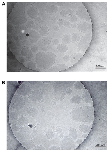 Figure 1 Cryo-TEM photographs of blank A) and CyA-loaded B) cubic nanoparticles. The bars equal 200 nm.