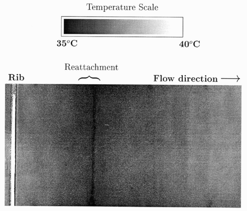 Figure 3. Normalized grey scale ribbed surface temperature from the transient liquid crystal image after 90 s at Re = 260.