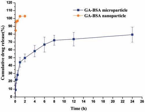 Figure 6. The in vitro drug release profile of GA–BSA nanoparticles and GA–BSA microparticles (mean ± S.D, n = 3).
