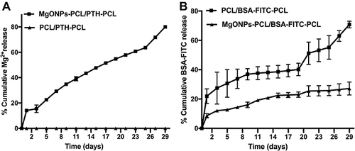 Figure 4 The release profiles of (A) Mg2+ and (B) BSA-FITC from different membranes for 29 days.