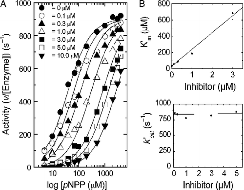 Figure 3.  Panel A. Plot of APase activity versus pNPP concentration at different VO(Clacac)2 inhibitor concentrations. Panel B. Plots of k′cat versus inhibitor concentration and K′m versus inhibitor concentration.