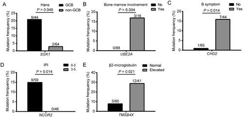 Figure 2. Assessment of the relationship between mutations and patients’ clinicopathologic features. The mutation frequencies of genes with significant differences between various items were determined, including (A) Hans. (B) Bone marrow involvement. (C) B symptom. (D) IPI. (E) β2-microglobulin.