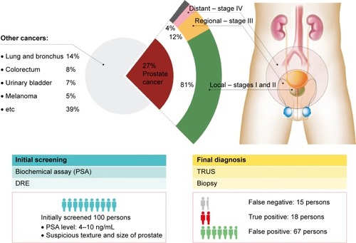 Figure 1 Prostate cancer diagnosis statistics.Notes: Prostate cancer accounts for 27% of all male cancer cases meaning every one out of four men is diagnosed with prostate cancer in the USA. The localized, regional, and metastasized tumor tissue accounts for 81%, 12%, and 4%, respectively, of all prostate cancer diagnosis with the unknown stage remaining. Typical subjects with prognoses to have prostate cancer are 85 persons per 100 persons after the initial screening, while the other 15 persons are not predicted to have prostate cancer. Only 18 persons of the 85 persons with positive initial screening result are diagnosed with prostate cancer. Surprisingly, the other 15 persons, who are believed to have no prostate cancer based on the initial screening result, are turned out to be diagnosed with prostate cancer. Data from Siegel et al.Citation1Abbreviations: DRE, digital rectal examination; PSA, prostate-specific antigen; TRUS, transrectal ultrasonography.