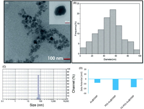 Figure 2. (a) TEM image (inset is the high-resolution TEM image), (b) size distribution histogram of TEM image, (c) dynamic light scattering (DLS) profile of the prepared nanocomplex (PdI: 0.24). (d) zeta potentials of various nanoparticles synthesized in this study.