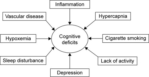 Figure 1 Contributing factors to cognitive deficits in patients with COPD.a