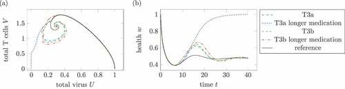 Figure 13. Effect of longer medication times. (a) Phase plot of summed virus U and summed T cells V and (b) health during two treatments T3a and T3b and a reference infection course (solid). The maximal medication doses and parameters are identical in both medications, only the medication times change. In the longer treatments, the (third) treatments last double the time the other treatments does. The parameters are ϑ=0.5 for T3a and ϑ=11/15 for T3b. In the one dose treatment T3a, the longer medication time leads to a healing infection course.
