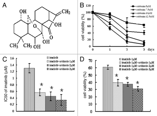 Figure 1. Chemical structure of oridonin and cytotoxic effect of oridonin alone or in combination with imatinib on SUP-B15 cells. (A) chemical structure of oridonin.B, SUP-B15 cells were incubated with 0, 5, 7.5, 10, 12.5 μM oridonin for 1 d, 3 d and 5 d. At the end of incubation, MTT methods determined the cell survival rates. Cell viability is expressed as the percentage of cell survival compared with the control. (B) SUP-B15 cells were incubated with imatinib alone or in combination with 1 μM, 2 μM and 3 μM oridonin for 72 h. At the end of incubation, MTT methods were used to determine the cell survival rates and the IC50 of imatinib. (C) The cell viability treated with imatinib alone or in combination with indicated concentration of oridonin for 72 h. D,The IC50 of imatinib alone or in combination with indicated concentration of oridonin for 72 h. Data were from three independent experiments. *p < 0.05 was used to compare the effects of compounds.