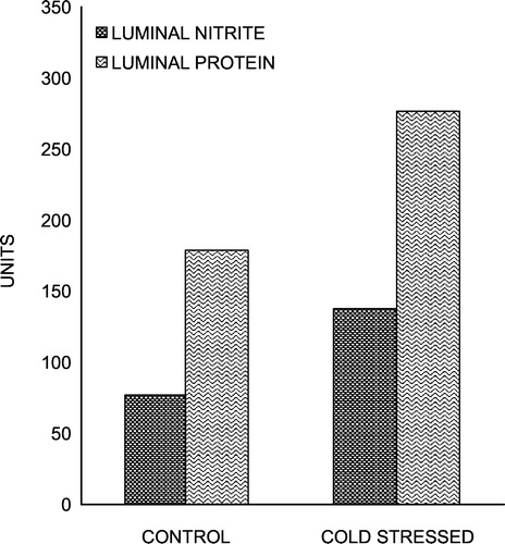 Figure 3 Effect of chronic cold stress on total luminal nitrite (nmol) and protein (mg) contents in rat small intestine. Values are mean ± S.D. **P < 0.01, ***P < 0.001 vs. control.