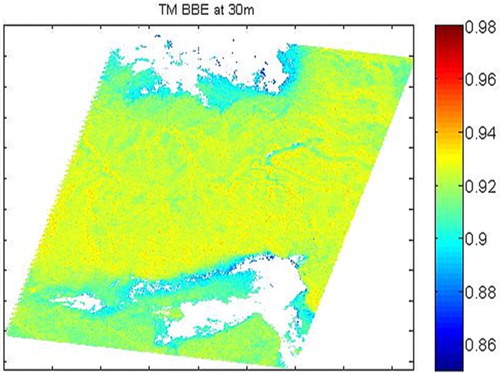 Figure 5. The 30 BBE retrieved from TM surface reflectance.