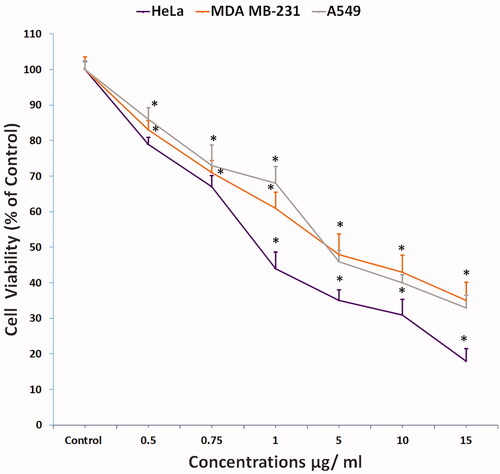 Figure 2. Cytotoxicity of compound 1 on HeLa cells treated in concentrations as indicated for 24 h and analysed by MTT assay (All data are expressed as mean ± SE from three independent experiments). *Significant p < 0.05 compared with corresponding controls.
