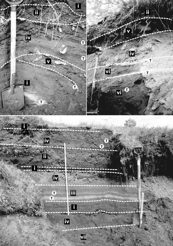 Figure 3 Examples of investigated sediment profiles and interpretation of deposits. Refer to the text for explanations on the roman numbers identifying stratigraphic units. The encircled T symbols show the location of visible tephra layers, which enabled dating of the sequences (Photos A. Decaulne).