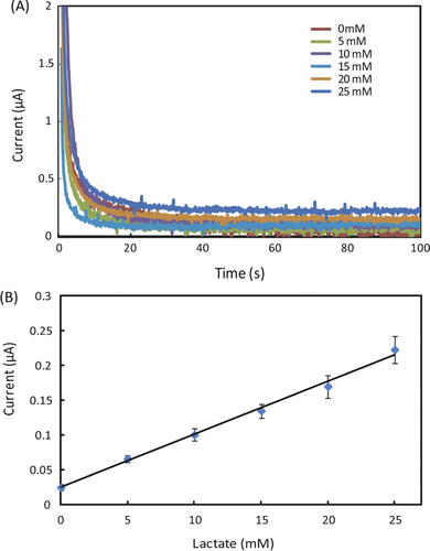 Figure 4. (A) Chronoamperometric curves and (B) the calibration plot for measurement of lactate in AU. The solid line in (B) represents a linear fit to experimental data with regression equation: y = 0.0076x + 0.025 (R2 = 0.995, n = 5).