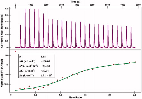 Figure 4. Calorimetric titration of the α-glucosidase with compound 7 u at 25 °C. Heat flow as a function of time (purple). The green curve corresponds to the theoretical independent model. The thermodynamic constants are presented in the pane.