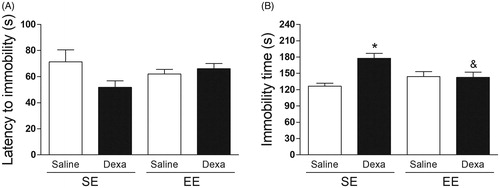 Figure 3. EE mitigates the dexamethasone-induced behavioral despair in the tail suspension test. (A) Latency to immobility (s) and (B) Immobility time (s). Data are expressed as mean + SEM (n = 10 animals per group). *p < .05 vs. Saline/SE group and &p < .05 vs. Dexa/SE group (two-way analysis of variance followed by Newman–Keuls post-hoc test). Dexa (dexamethasone); SE (standard environment); EE (environmental enrichment).