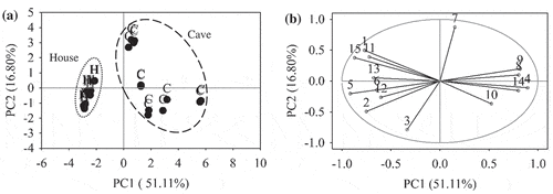 Figure 1. PCA plots of EBN classification based on production origin. (a) Score plot of house (H) and cave (C). (b) Loading plot of 15 compositional variables, (1) color L*; (2) hue; (3) carbohydrate; (4) ash; (5) TPC; (6) mercury; (7) cadmium; (8) calcium; (9) magnesium; (10) zinc; (11) valine; (12) isoleucine; (13) glutamic acid; (14) nitrite; (15) sialic acid. The grey circle indicates unit circle.