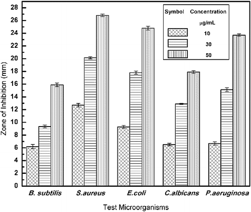 Figure 6. Antimicrobial activity of Ag NPs against the human test pathogens.