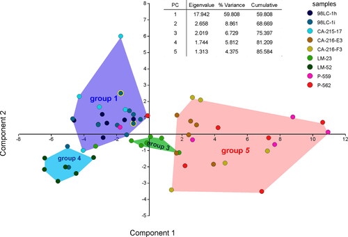 Figure 10. Principal component analysis based on growth-independent and growth-invariant characters of neanic chamberlets and nepionts. Grouping by samples (point colours) and groups (background colour of convex hulls). Points with yellow margins represent the position of ‘L. group 2’ within ‘L. group 1’.
