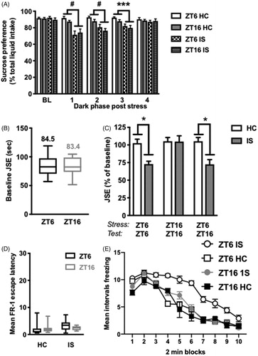 Figure 2. Stress-induced behavioral changes in juvenile social exploration and shock-elicited freezing, but not sucrose preference, are modulated by time of stressor exposure. Rats received IS or no stress (HC) at ZT6 or ZT16 followed by behavioral testing. (A) Sucrose preference testing occurred during the first 4 h of the dark phase on the two days prior to stress (average baseline, BL) and each of four days after stress (B-C) Juvenile social exploration testing occurred 24 h or 36 h following stress. The ZT6-ZT6 group was stressed at ZT6 and tested 24 h later at ZT6; the ZT16-ZT16 group was stressed at ZT16 and tested 24 h later at ZT16; and the ZT6-ZT16 group was stressed at ZT6 and tested 36 h later at ZT16 (D-E) Fear testing as measured by shock elicited freezing in the shuttlebox occurred 48 h after stress (D) Mean FR-1 escape latencies for FR-1 trials (E) Mean intervals freezing, in 2 min blocks, immediately following two FR-1 trials in a shuttlebox. Data are presented as mean ± SEM. *p ≤ .05, **p ≤ .01, ***p ≤ .001, #p ≤ .0001.