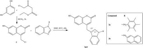 Scheme 2. Synthesis of 7-hydroxy coumarin bearing benzimidazolium salts (2g, h).