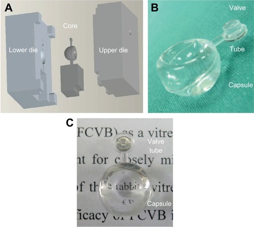 Figure 3 Steel mold and production of rabbit foldable capsular vitreous body (FCVB). (A) The mold for rabbit FCVB consisted of a core and lower and upper dies, (B) fabricated rabbit FCVB, and (C) the rabbit FCVB is highly transparent.