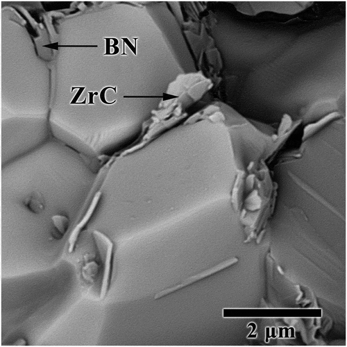 Figure 4. SEM image of ZSC sample revealing the presence of in-situ phases