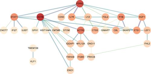 Figure 4 PPI network of DEGs in the STRING database. Based on the STRING online database, the DEGs PPI network was constructed containing 63 DEGs. The different colors in the figure indicate the connectivity of genes, and the deep color shows the genes with the highest connectivity in the PPI network. PPI, protein–protein interaction; DEGs, differentially expressed genes.