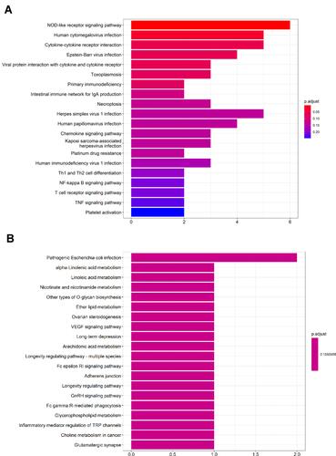 Figure 3 KEGG pathway terms of DEGs in SS. A histogram of KEGG enrichment analysis of upregulated genes, which shows a gradual change in color from red to purple, indicating the change in the P value from small to large (A). A histogram of KEGG enrichment analysis of downregulated genes (B).