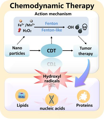 Figure 1 Schematic diagram of catalytic mechanism for cancer treatment of CDT.