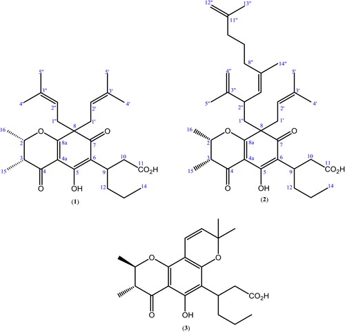 Figure 1. Structures of compounds 1-3 from C. peekelii.