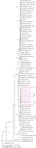 Figure 5 WGS-SNP phylogenetic analysis of B. abortus strains.