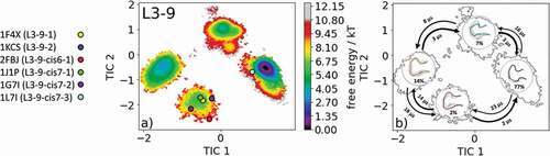 Figure 4. (a) Free energy surface of the CDR-L3 loop with a loop length of nine residues including the projected six available canonical cluster median representatives. The legend and color-coding of all canonical cluster representatives are shown on the left. (b) Contours of the free energy surface are displayed in the background of the Markov-state model. The macrostate representatives with the respective macrostate ensemble and transition kinetics are also included. The macrostate representatives were colored independent of the canonical cluster representatives in (a) and summarize the kinetically relevant conformations of the CDR-L3 loop in solution. We obtained four macrostates, in which all canonical cluster medians are present