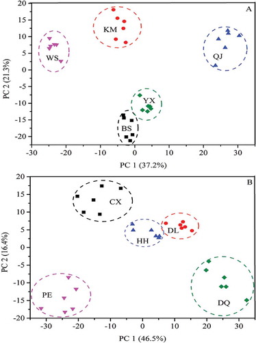 Figure 4. PCA score plots of B. edulis (A) and B. tomentipes samples (B).