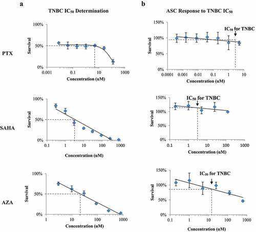 Figure 1. IC50 determination in TNBC (MDA-MB-231) and effect on ASCs. A. The TNBC cell line was exposed to serial dilutions of PTX, SAHA and AZA to determine the half maximal inhibitory concentration (IC50) of each drug. B. ASCs were also exposed to serial dilutions of PTX, SAHA and AZA. The IC50 of each drug in TNBC is noted on the survival curve of the ASC cells. (N = 4–7).