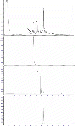 Figure 2. Chromatograms obtained at 260 nm by HPLC–DAD for the total extract of the entire flowers of Agave durangensis, and the standards A: kaempferol-3,7-O-diglucoside (RT: 28.00 min, λmax: 242sh, 265, 322sh, 345), B: quercetin-3-O-[rhamnosyl-(1-6)-galactoside] (RT: 34.10, λmax: 255, 266sh, 295sh, 355), and C: kaempferol-3-O-[rhamnosyl-(1-6)-glucoside] (RT: 35.62, λmax: 265, 290sh, 320sh, 349).Cromatograma obtenido a 260 nm por HPLC-DAD para el extracto crudo de las flores enteras de Agave durangensis, y para los estándares A: canferol-3,7-O-diglucósido (RT: 28.00 min, λmax: 242sh, 265, 322sh, 345), B: quercetina-3-O-[ramnosil-(1-6)galactósido] (RT: 34.10, λmax: 255, 266sh, 295sh, 355), y C: canferol-3-O-[ramnosil(1-6)glucósido] (RT: 35.62, λmax: 265, 290sh, 320sh, 349).