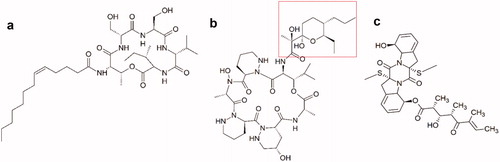 Figure 5.1. Molecular structures of new active peptides found in insect symbionts. (a) The cyclic lipodepsipeptide stephensiolide H. (b) Dentigerumycin, a polyketide-peptide hybrid. The polyketide fragment is indicated in red (c) The fungal toxin Boydine B, an epipolythiodioxopiperazine derived from a cyclic peptide.