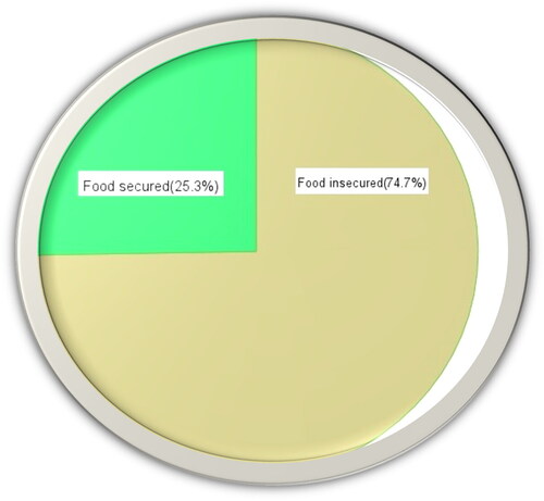 Figure 4. Food security status of the households.