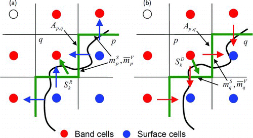 FIG. 3 Illustrations of (a) re-suspension and (b) deposition fluxes at the interface. Thick line indicates the interface between the band and surface cells. (Color figure available online.)
