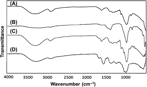 Figure 6. FTIR spectra of (A) Plant extract (B) SPIONs (C) Ag@SPIONs (AgNO3/SPIONs = 5 and 25 ml of plant extract, see Table I) and (D) Au@SPIONs (HAuCl4/SPIONs = 10 and 25 ml of plant extract, see Table I).