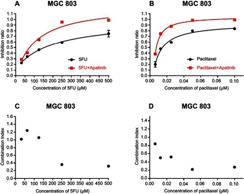 Figure 1 Effect of apatinib on cytotoxicity of PTX and 5-Fu in gastric cancer cells. Concentration–response plot of PTX (A) and 5-Fu (B) as single treatment or in combination with apatinib. The combination index values of PTX (C) and 5-Fu (D) combined with apatinib were calculated.Abbreviations: 5-Fu, 5-fluorouracil; PTX, paclitaxel.