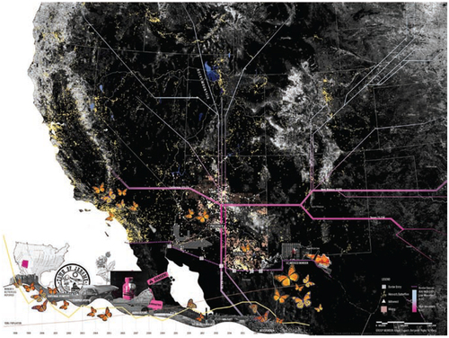 Figure 4. In tracking how the United States aridlands have been historically understood and planned, Yu Jade Wang created a map to explore how extractive processes in the desert, like mining, have had direct consequences on the biodiversity of the region. Specifically, she explored the ways that gold and silver mining in the arid West have disturbed the milkweed habitat. As the milkweed plant is the only source of food for the monarch caterpillar, with the decrease in milkweed, the monarch butterfly population has also severely declined. Yu Jade Wang, “Monarchs and Minerals,” map, University of California, Berkeley, Spring 2022.