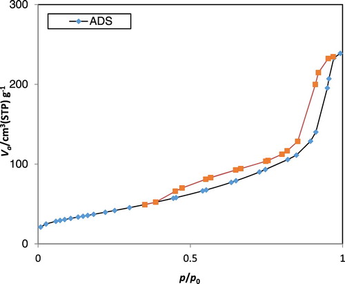 Figure 6. N2 adsorption–desorption isotherm of synthesized ACP-NPs.