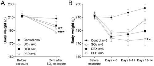 Figure 1. Measurement of body weight in treated (DEX: dexamethasone (10 mg/kg i.p) or PFD: Pirfenidone (200 mg/kg i.p)) and untreated rats (SO2) exposed to a 10-min exposure to 2200 ppm sulfur dioxide (SO2). Control animals were breathing room-air while the other rats were exposed to SO2. Statistical significant differences between initial weight and weight on termination day within each group are shown. (A) 24 h post-exposure (n = 6 rats per group) and (B) 14-days post-exposure (n = 5–6 rats per group). #Two animals in the 14-day SO2 group were excluded on day 13–14 from the study due to severe decline in general health status (last time-point n = 4) Values indicate means ± SEM, **p < .01, and ***p < .001.