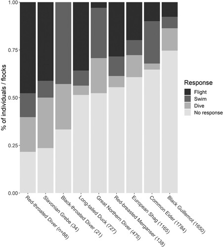 Figure 2. Summary of all responses by birds to a passing ferry. Number of records for each species is shown in parenthesis on the x-axis. Species are ordered from left to right in order of proportion of flocks responding.