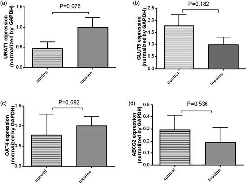 Figure 6. Reverse transcription-qPCR analysis of URAT1, GLUT9, OAT4 and ABCG2 in the kidney cortex tissues. Data are presented as mean ± SEM, n = 5/group.