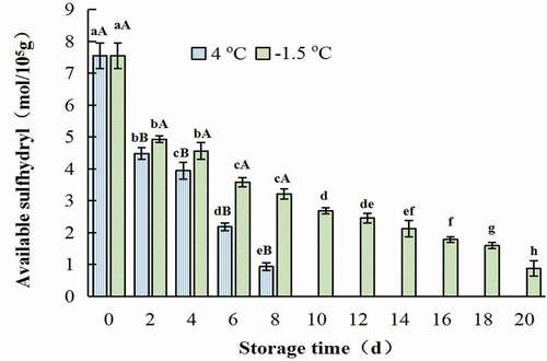 Figure 4. Change in available sulfhydryl group of salt-soluble protein from chicken breast muscles during −1.5 °C and 4oC storage. Values are means ± standard deviations (n = 3). Different lower-case letters above the bars of standard deviations indicate significant differences among the samples at the same storage temperature for different time (p < .05). Different capital letters above the bars of standard deviations indicate significant differences among the samples at different storage temperature for the same time (p < .05).Figura 4. Cambio en el grupo sulfhidrilo disponible de la proteína soluble en sal de los músculos de la pechuga de pollo durante su almacenamiento a −1.5°C y 4°C. Los valores son medias ± desviaciones estándar (n = 3). Las distintas letras minúsculas sobre las barras de desviación estándar indican diferencias significativas entre las muestras a la misma temperatura de almacenamiento durante un tiempo diferente (p < .05). Las distintas letras mayúsculas sobre las barras de desviación estándar indican diferencias significativas entre las muestras a diferente temperatura de almacenamiento durante el mismo tiempo (p < .05)